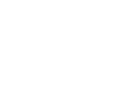 website icon 1